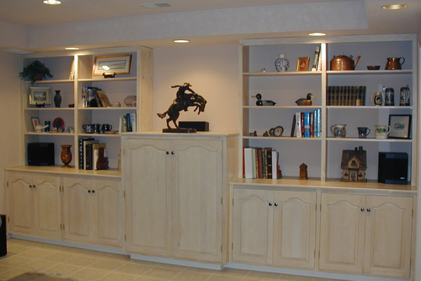 Book case and entertainment center